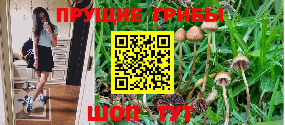 Галлюциногенные грибы MAGIC MUSHROOMS  Вход с VPN  Нефтекумск 